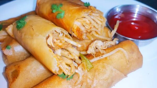 Chicken chowmin spring roll